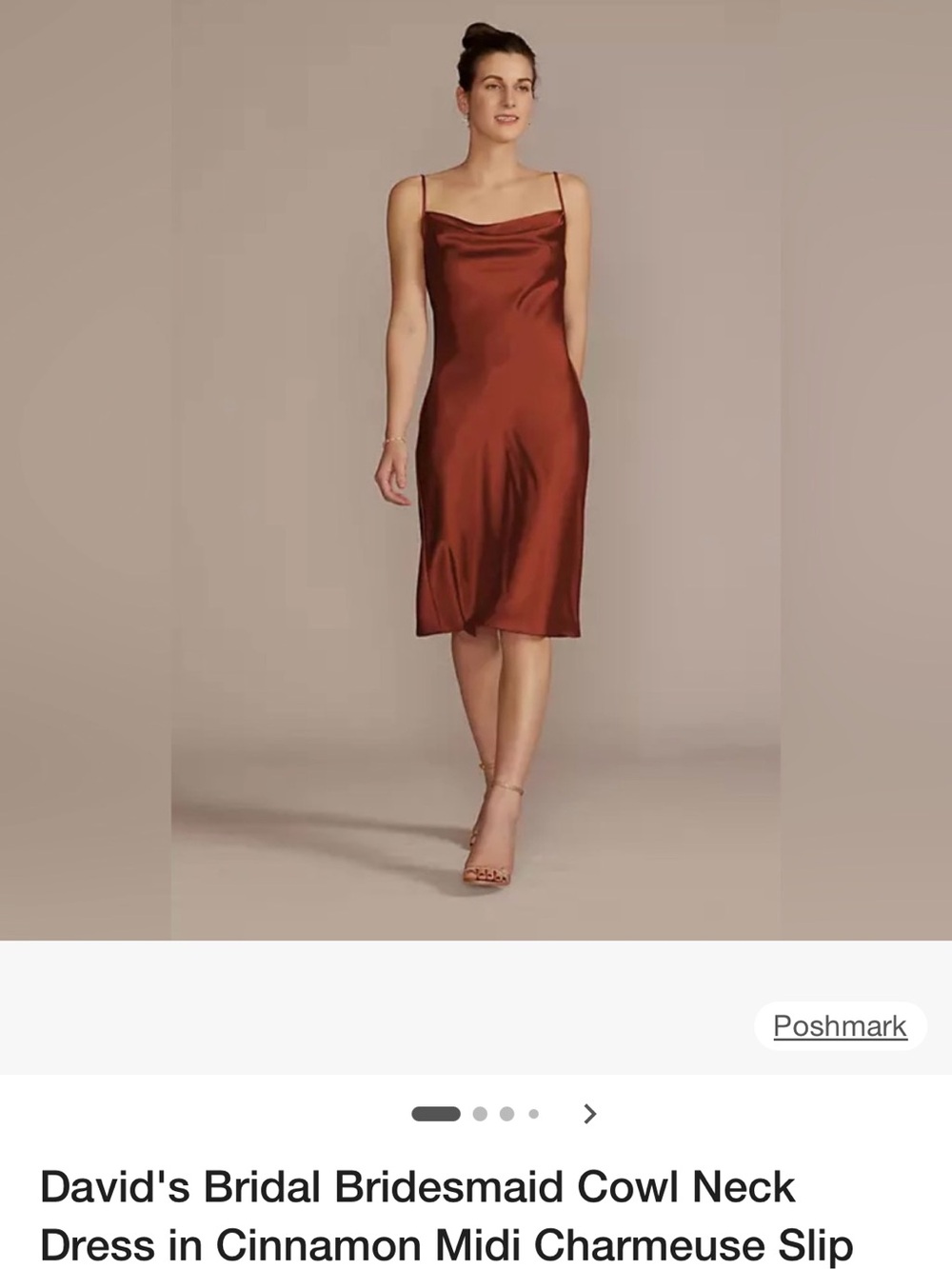 David's Bridal Cinnamon Charmeuse Slip Dress with Cowl Neck